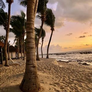 Meet your Posher, Sherry